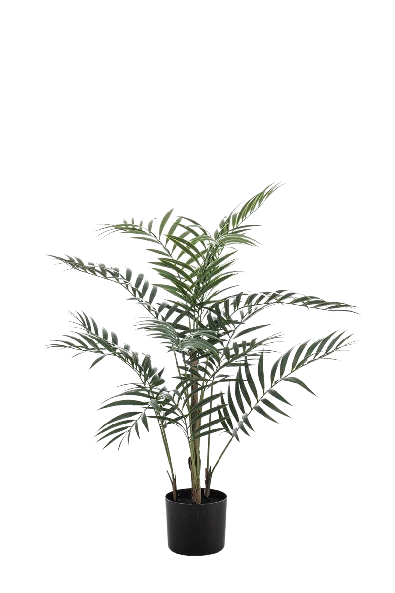 Künstliche Palme - Denver | 90 cm
